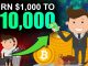 Best Way To Turn $1k into $10k with Crypto 10x Your Money