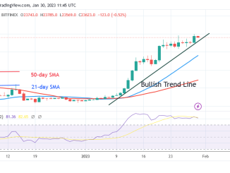 Bitcoin Price Prediction for Today, January 30: BTC Price Rebounds To Reach $23.9K