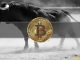 Erik Voorhees Predicts When the Next Bitcoin Bull Market Will Start