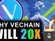 VeChain Volcano Why VET Can 20x in 2021 Price Prediction