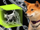 Dogecoin DOGE Price Claims Support While Shiba Inu SHIB Price Struggles to Overcome Resistance