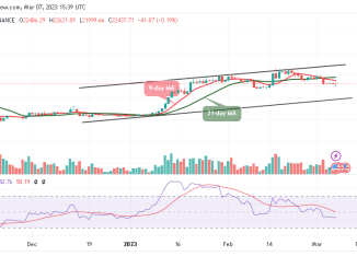 Bitcoin Price Prediction for Today, March 7: BTC/USD Risks Fresh Drop To $21,500 Support