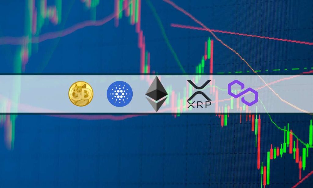 ETH XRP ADA DOGE MATIC