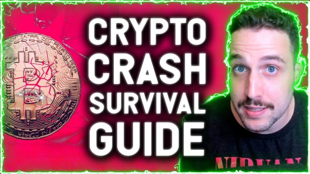 CRYPTO CRASH SURVIVAL GUIDE THIS SECTOR IS WHERE I WILL BE LOOKING FOR THE BEST GAINS