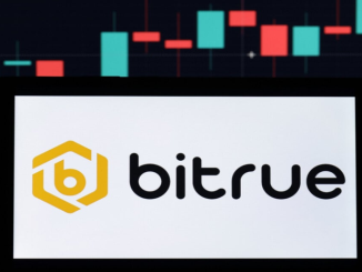 Hacker Robs Crypto Exchange Bitrue of $23M in Ethereum, SHIB, Other Assets