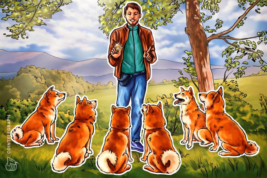 Will Shiba Inu tail Dogecoins price rally