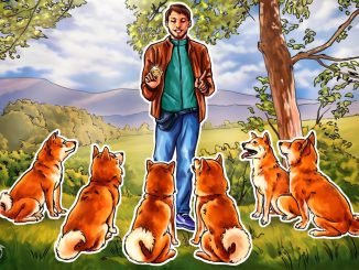 Will Shiba Inu tail Dogecoin’s price rally?