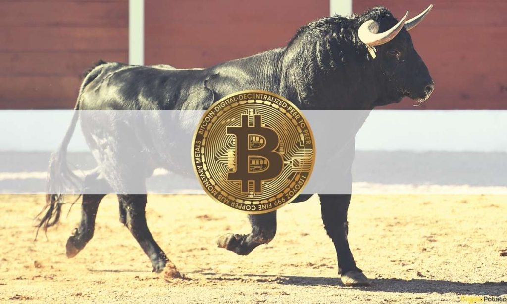 Bitcoin BTC Close to Bullish Breakout as Bottom Is in Glassnode Co founder