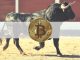 Bitcoin BTC Close to Bullish Breakout as Bottom Is in Glassnode Co founder