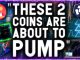 MASSIVE PUMP INCOMING THESE 2 COINS ABOUT TO EXPLODE WITH THE GREATEST GAINS