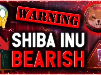 WARNING! DOGGY DANGER! SHIB Chart Reveals Worst Correction May Be Ahead!