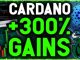 CARDANO PRINTING MOST IMPORTANT PATTERN TO SEND IT SKYROCKETING TO 300 GAINS