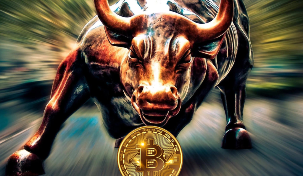 bitcoin bulls