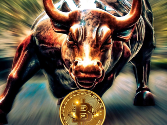 bitcoin bulls