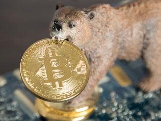 Bear Market 'Much Worse Than Expected’: Analysts Pitch New Bitcoin Economy Framework