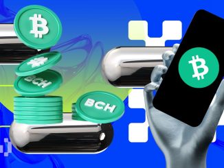 Bitcoin Cash (BCH) Price Falls Below $200: Is the Worst Over?