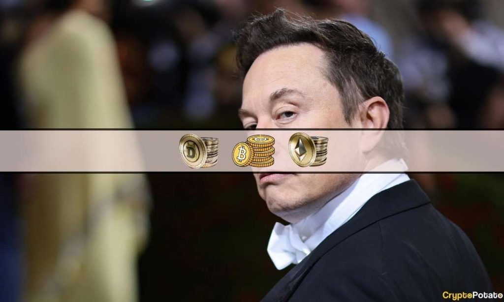 Elon Musks Favorite Crypto Will be on X Even if There Will be no X Coin