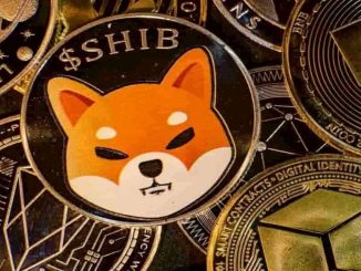 How a $10,000 Investment in Shiba Inu Would Have Made You $3,297,000 – New Meme Coins to Watch