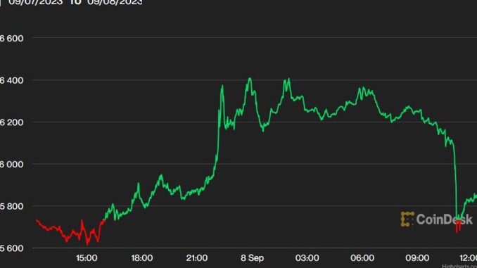 Bitcoin Shows Signs of Life