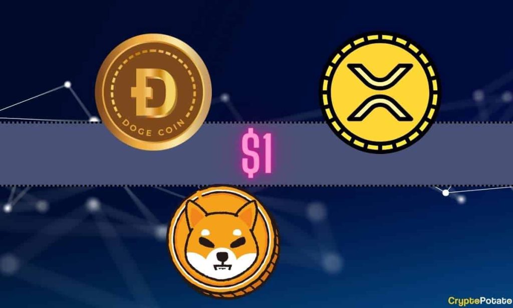 Ripple XRP Shiba Inu SHIB or Dogecoin DOGE