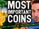 THE MOST IMPORTNAT COINS THAT NO ONE IS TALKING ABOUT | NFT DeFi Cryptocurrency News Insights