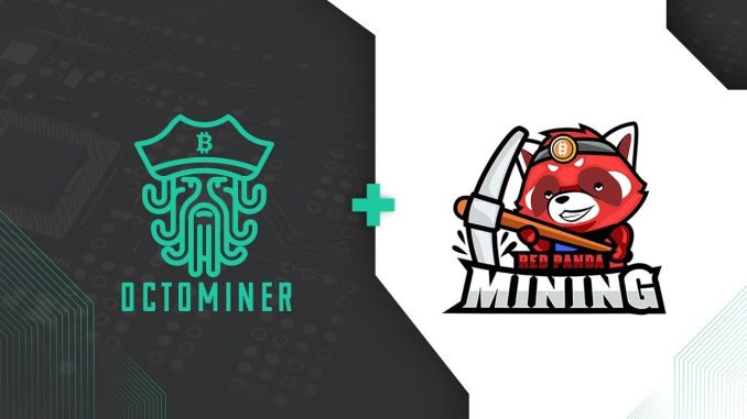 $8000 Octominer GIVEAWAY Live! Server Cases, Swag, and More!