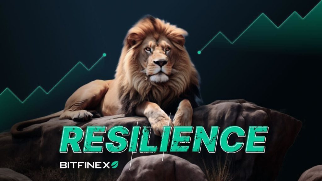 Bitfinexs Market Prowess A Game Changer in the World of Crypto Volatility