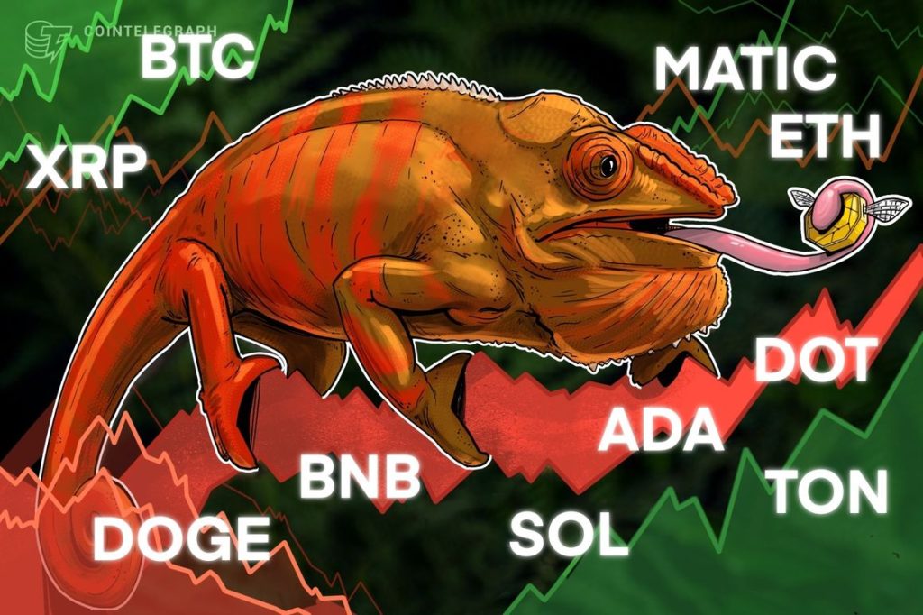 BTC ETH BNB XRP SOL ADA DOGE TON DOT MATIC