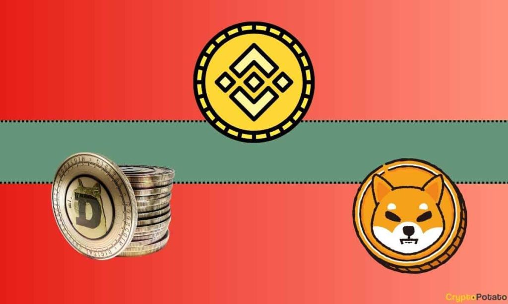 Important Binance Update Concerning Shiba Inu SHIB and Dogecoin DOGE