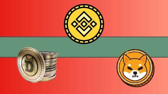 Important Binance Update Concerning Shiba Inu (SHIB) and Dogecoin (DOGE)