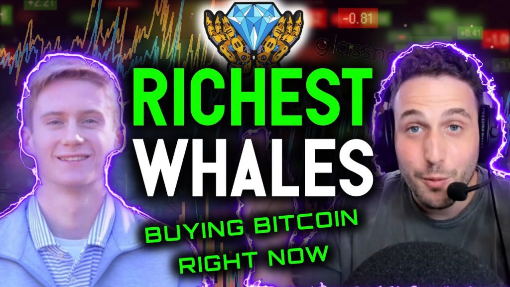 RICHEST BITCOIN WHALES BUYING NOW On chain data reveals the truth