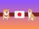 Shiba Inu SHIB to Get Listed on Popular Japanese Crypto Exchange Heres When