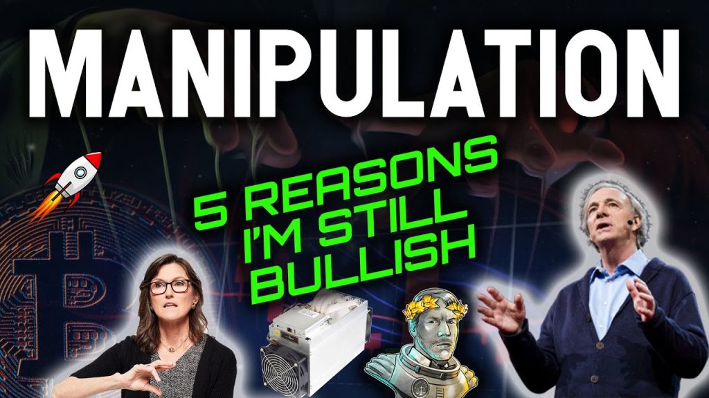 WARNING MANIPULATION 5 REASONS WHY IM STILL BULLISH