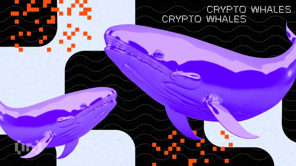 Crypto Whale Bets Big on Ethereum A Signal for a Bullish Breakout