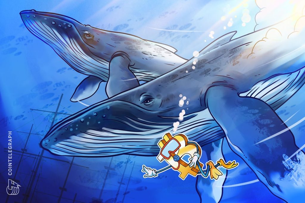 Bitcoin whales aim to reclaim $42K after BTC price dives over 3