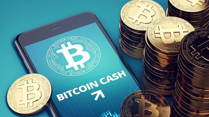 DAI Flips Bitcoin Cash; Is SHIB Next as Traders Eye New Memes?