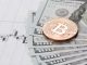 Think of It as Bitcoins IPO BTC Will Enter New Price Discovery Post ETFs Says Bitwise