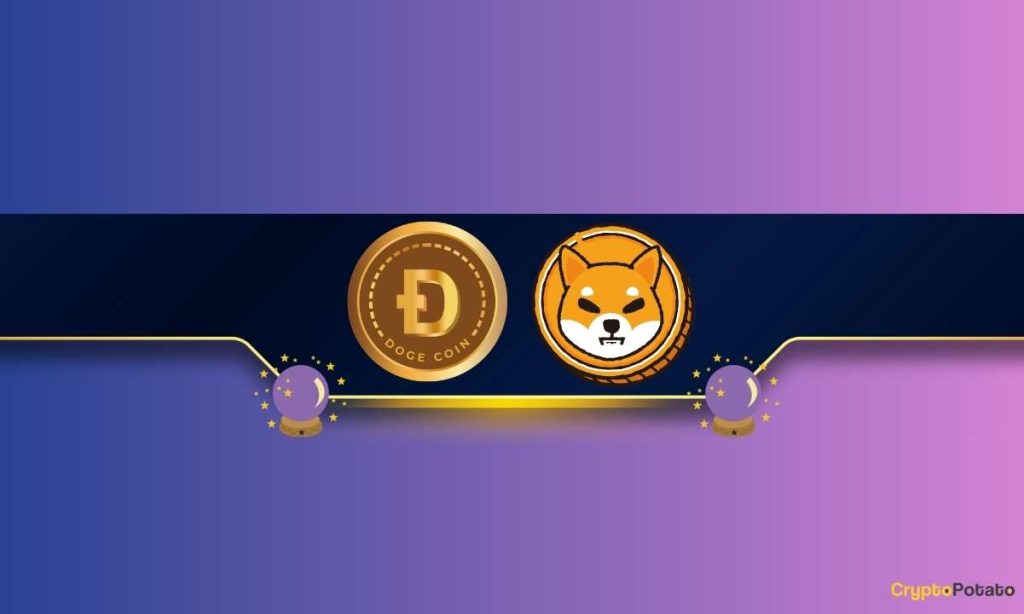 Are Dogecoin DOGE and Shiba Inu SHIB Poised for Further Gains Popular Analyst Chips in