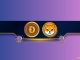 Are Dogecoin DOGE and Shiba Inu SHIB Poised for Further Gains Popular Analyst Chips in