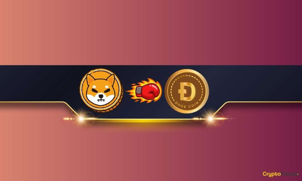 Shiba Inu SHIB Outperforms Dogecoin DOGE in This Key Metric Details