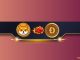 Shiba Inu SHIB Outperforms Dogecoin DOGE in This Key Metric Details