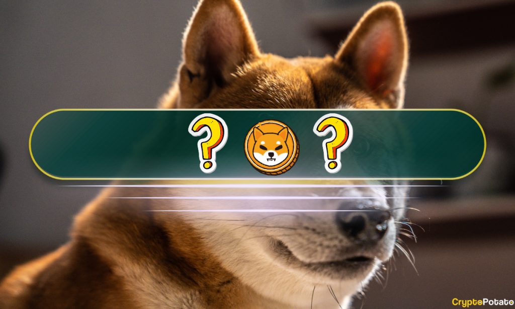 The Best Shiba Inu SHIB Alternatives in 2024 Meme Coin Deep Dive