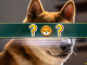 The Best Shiba Inu SHIB Alternatives in 2024 Meme Coin Deep Dive