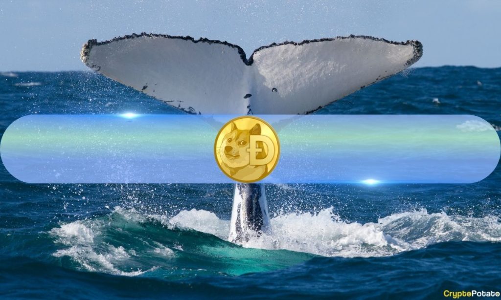 Whale Activity Backs Dogecoins DOGE Surge Above $016 Data