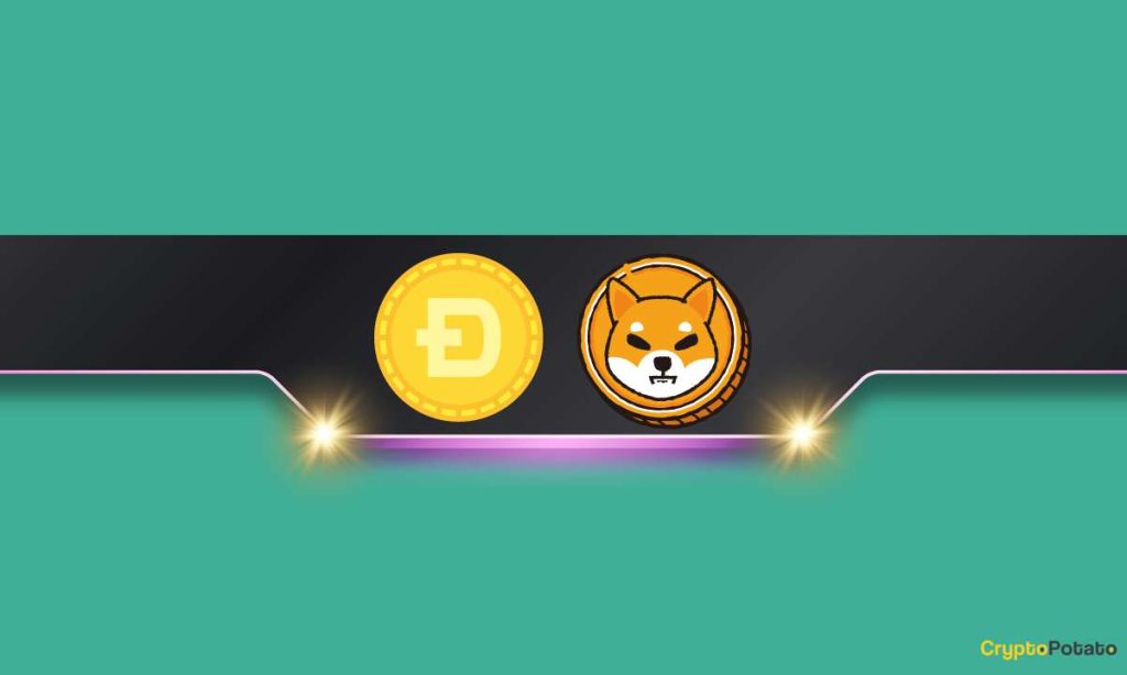 Important Dogecoin DOGE and Shiba Inu SHIB Metrics Explode by Double Digits Amid Market Correction