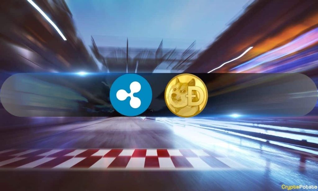 7 Reasons Dogecoin DOGE Could Flip Ripples XRP in 2024