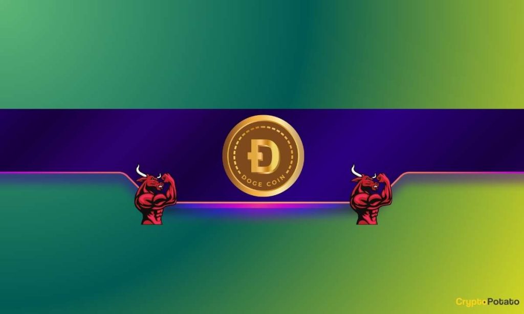 Heres Why Dogecoin DOGE Might be Gearing up for a Massive Bull Run Analyst