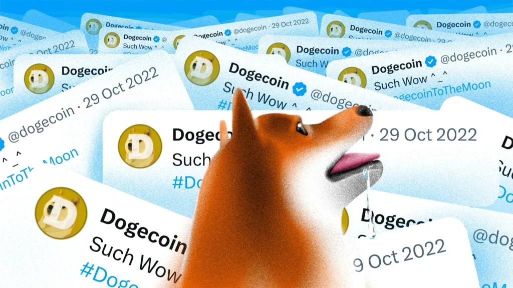 DogeChain to Cease Operations Withdraw Dogecoin DOGE Now