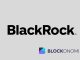 BlackRocks BUIDL Fund The New King of Tokenized Treasuries