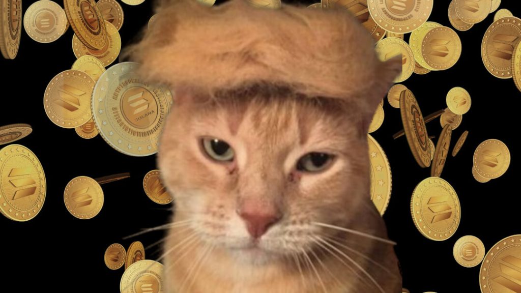 Meowing America Great Again This new cat meets Trump PolitiFi memecoin launches today